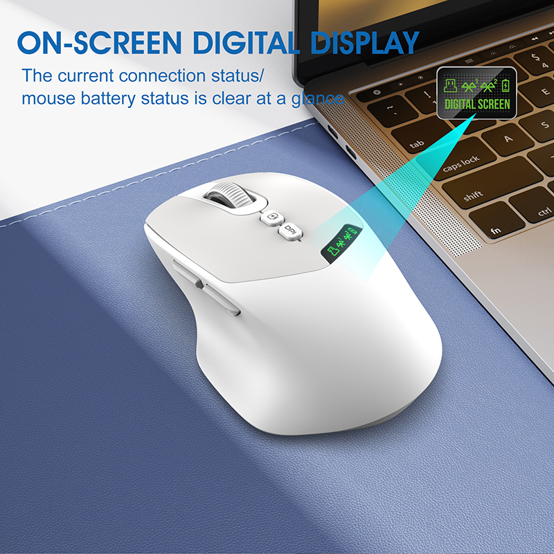 T02 Dual-Mode Kabellose Leise  – Esports Wireless Gaming Mouse Bewertung und Preis